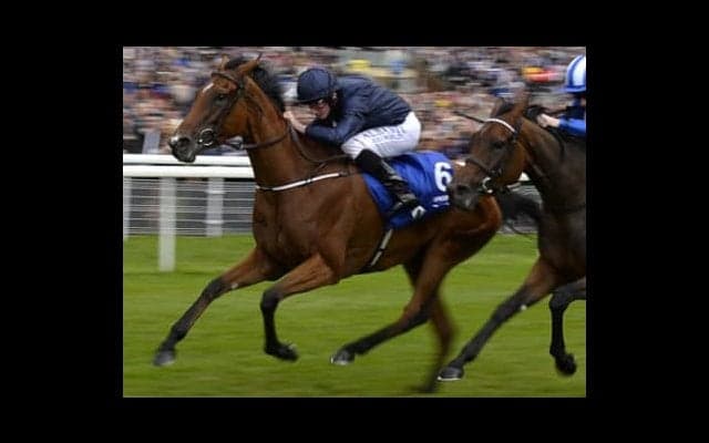 世界的な血筋を継ぐエールディヴァン「１つ、２つはすんなり勝てる」