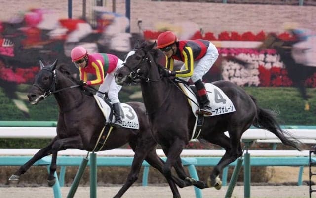 【中山6R/新馬】シーオブザムーンがゴール前差し切る