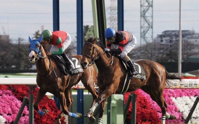 【黒松賞】ホウオウカトリーヌが断然の人気に応える