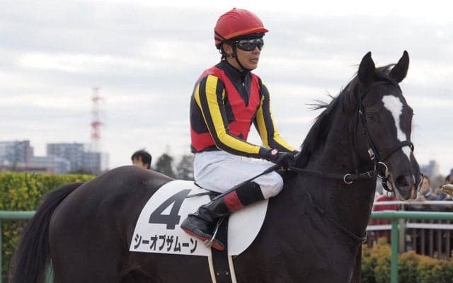 【中山6R/新馬】三浦「今日は能力だけで勝ってくれました」シーオブザムーンがデビュー勝ち