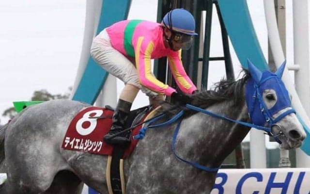 テイエムジンソク号が競走馬登録抹消