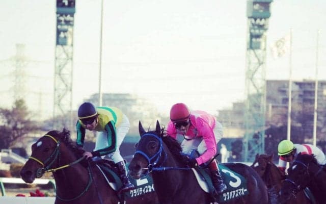 ツクバアズマオー号が競走馬登録抹消