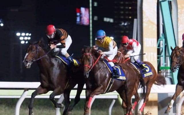 ネロ号が競走馬登録抹消