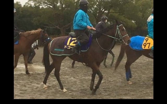 【朝日杯FS】ドゴール 黒岩師「ここでもいい脚を使ってくれる」