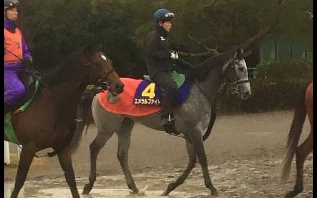 【朝日杯FS】エメラルファイト 1勝馬でも実力上位で侮れない