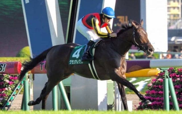 【朝日杯FS】枠順と見どころ 紅一点グランアレグリアが出走