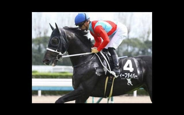 朝日杯FS、グランアレグリアが勝っても好配当が見込める２頭の穴馬