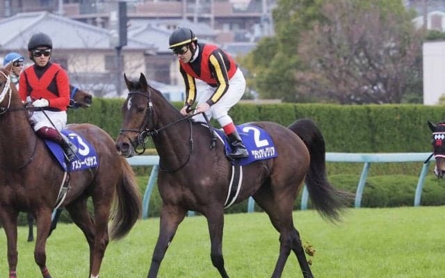 【朝日杯FS】ルメール「これまでと反応が…」グランアレグリア3着敗退