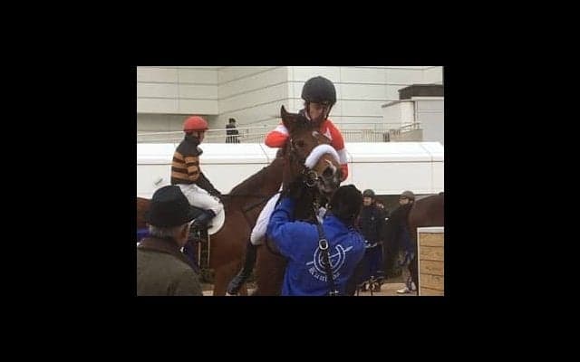 日曜中山６Ｒ新馬はディープインパクト産駒のレッドアステルがＶ