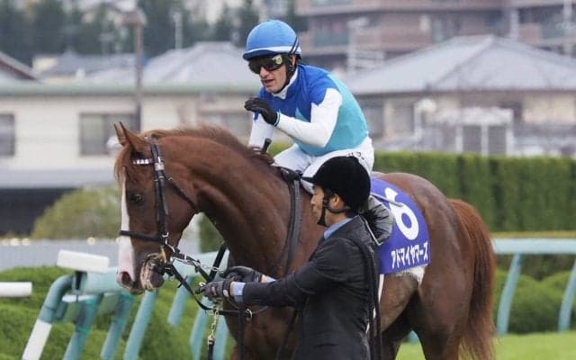 【朝日杯FS】M.デムーロ「競馬をわかっている」アドマイヤマーズが4連勝！