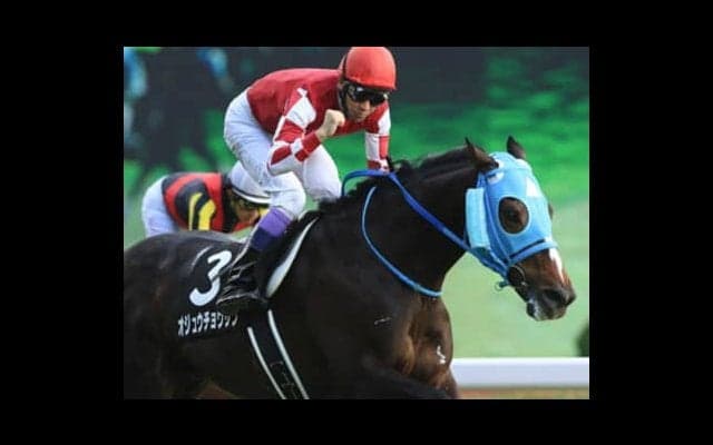 平成最後の有馬記念で、「レジェンド」オジュウチョウサンに馳せる夢