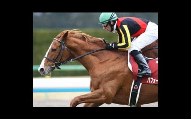 奇跡や伝説が生まれる有馬記念。ならば平成最後は大穴３頭に夢を託す