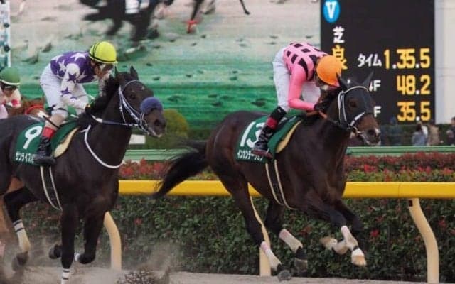 インカンテーション号が競走馬登録抹消