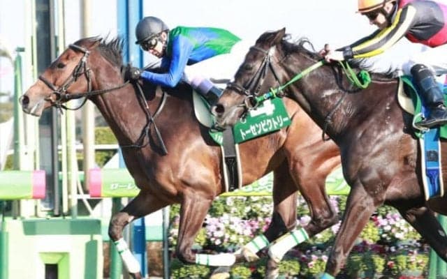 トーセンビクトリー号が競走馬登録抹消