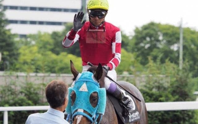 【武豊日記】有馬記念