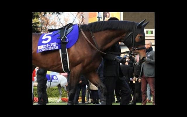 有馬記念は荒れる。穴党記者が送る「３頭」のクリスマスプレゼント