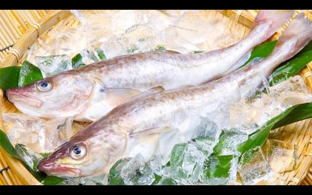 高タンパク・低脂肪の旬の魚料理