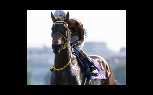 １年の総決算。有馬記念は今年強かった４歳、しかも牝馬で決まり