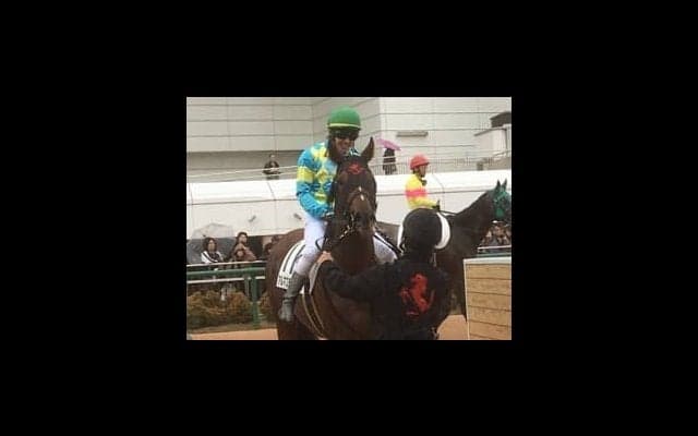 土曜中山５Ｒ新馬はヴィクトワールピサ産駒のアルマスティングが制す