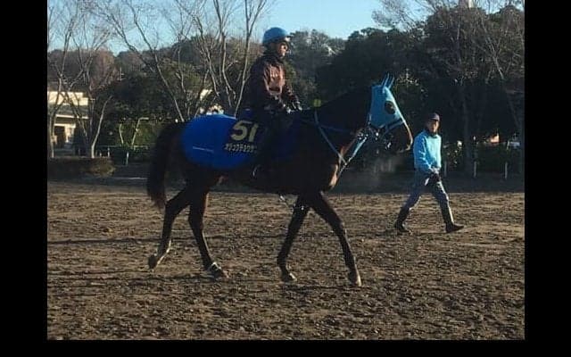 【有馬記念】オジュウチョウサン 和田郎師「最後まで目を離さず応援してもらえたら」