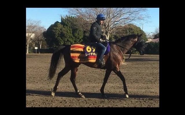 【有馬記念】レイデオロ ゆとりあるローテでグランプリ制覇目指す