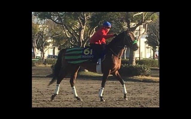 【有馬記念】ブラストワンピース 大竹師「ワクワクしています」