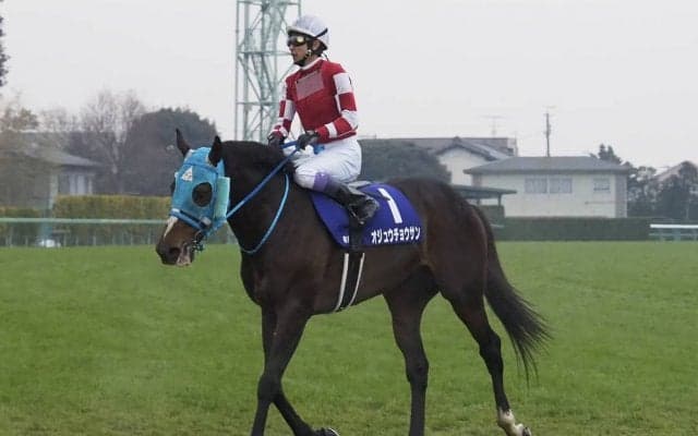 【有馬記念】オジュウチョウサン9着敗退も堂々とした走りを披露！武豊「今年の有馬記念を彼は盛り上げた」