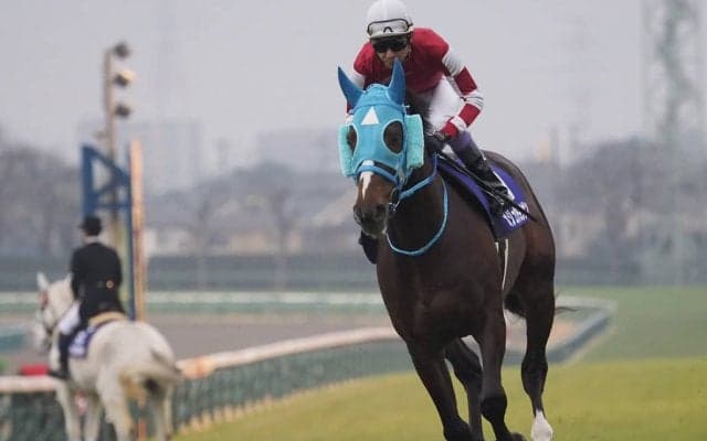 【有馬記念】武豊「思い出に残る有馬記念になった」オジュウチョウサン大健闘の9着