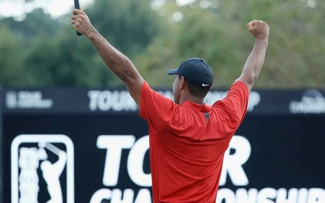 2018年のゴルフ界はやっぱりタイガー・ウッズ　いろんな数字を集めてみた