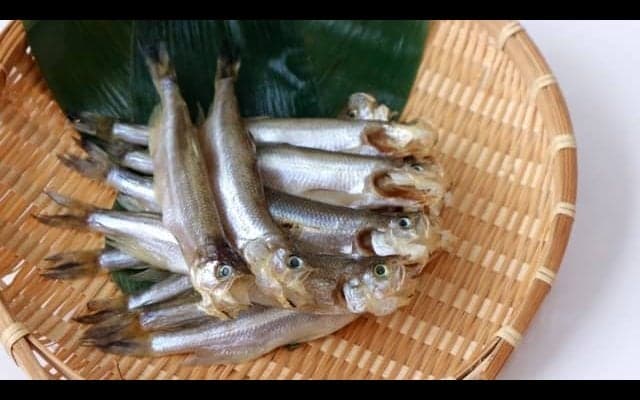 驚くべき「ししゃも」の効果効能