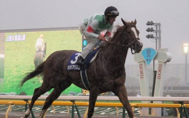 ネオリアリズム号が競走馬登録抹消