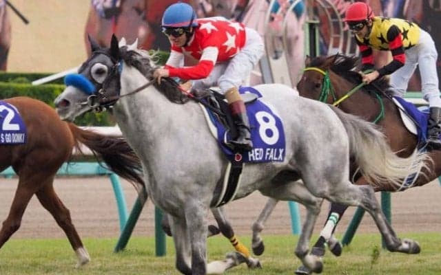 レッドファルクス号が競走馬登録抹消