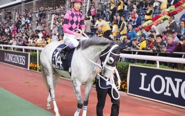 スマートレイアー号が競走馬登録抹消