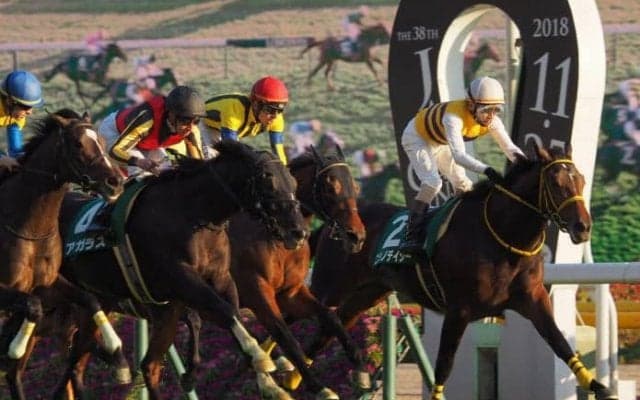 【ホープフルS】出走馬の調教後の馬体重