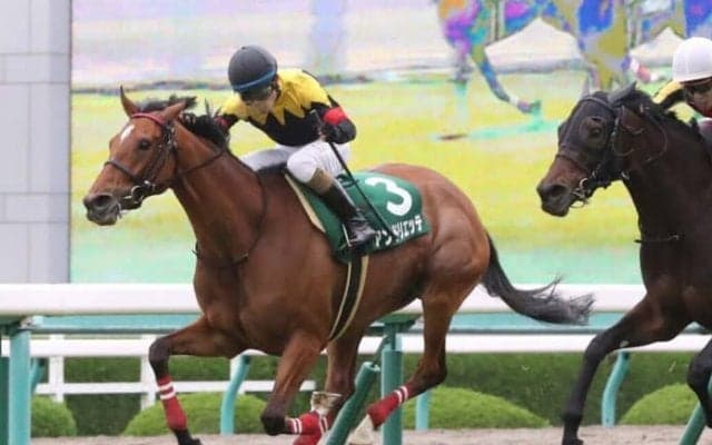 マーメイドSの勝ち馬アンドリエッテ号が競走馬登録抹消