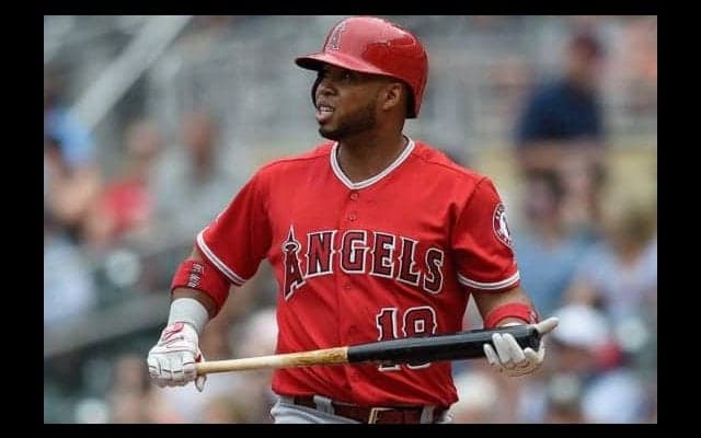 【MLB】2018年に逝去した主な米球界関係者　バルブエナとカスティーヨは悲劇的事故死