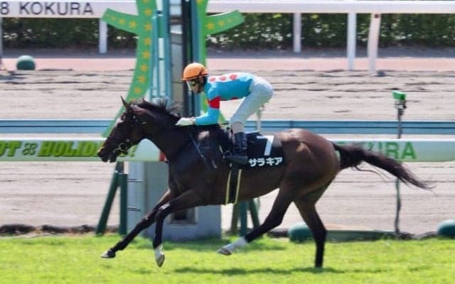 【京都金杯】出走馬の調教後の馬体重