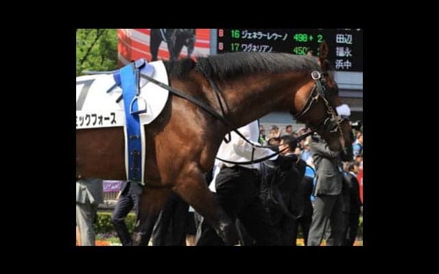 明け４歳世代がやっぱ強いのか。東西の金杯でおいしく乾杯できる４頭