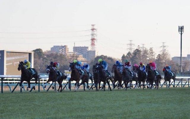 【中山金杯】藤岡佑「内枠が欲しかった」ジョッキーレース後コメント