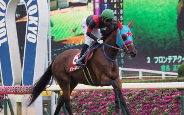 ジュールポレール号が競走馬登録抹消