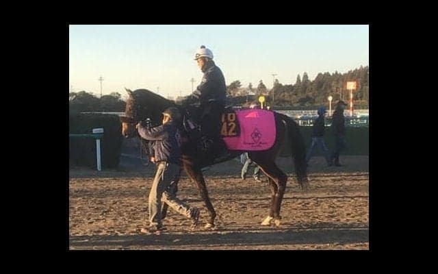 【フェアリS】フィリアプーラ 2戦続けて上がり最速の切れ者