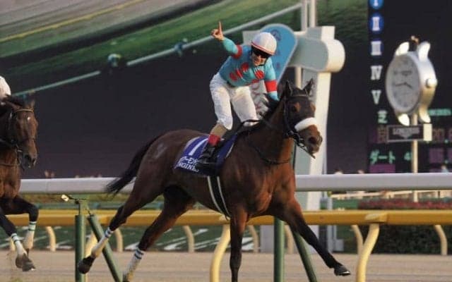 「2018年度JRA賞」決定！年度代表馬はアーモンドアイ号！