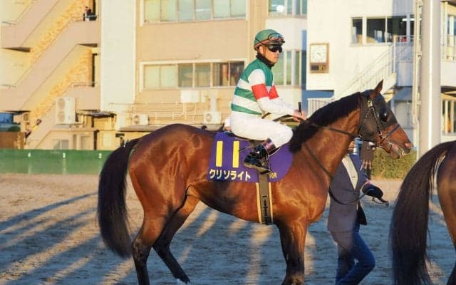 クリソライト号が競走馬登録抹消