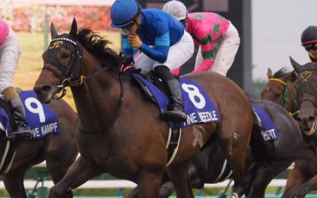 ファインニードル号が競走馬登録抹消