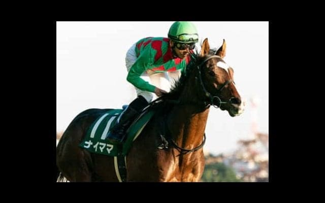 素質ある１勝馬が集う京成杯。一発狙うなら人気急落の「異色の存在」