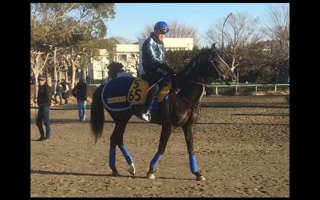 【日経新春杯】グローリーヴェイズ 京都コースでは安定した走り