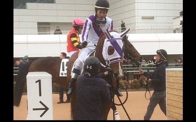 土曜中山４Ｒ新馬は１２番人気の伏兵・ナガレボシトリキシが逃げ切り勝ち