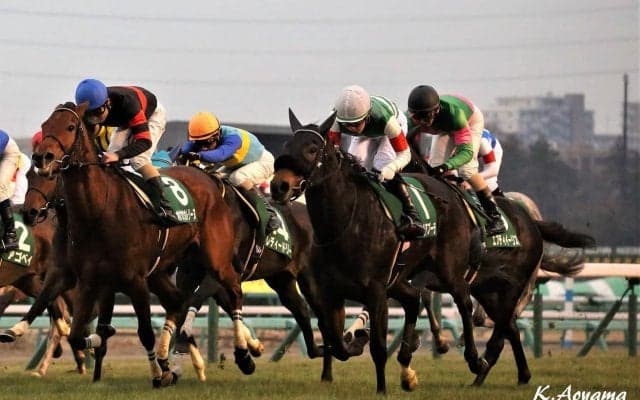 【フェアリーS】フィリアプーラがロスなく立ち回り差し切る