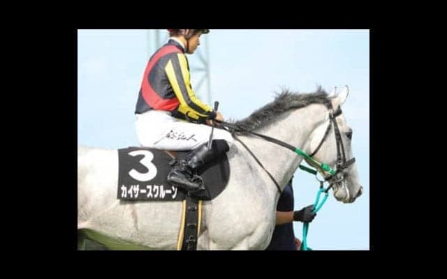 やや低レベルの京成杯。１勝馬でも勝負になると穴党記者は４頭を推す