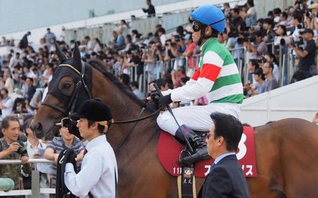 ステファノス号が競走馬登録抹消